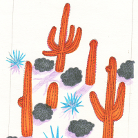 cacti and their shadows.jpg